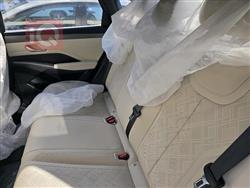 بي واي دي Qin Plus